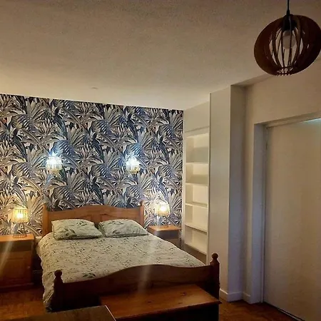 Le Celeste Appartement Vichy