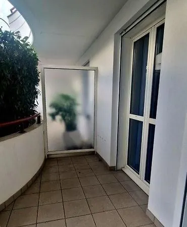 Le Celeste